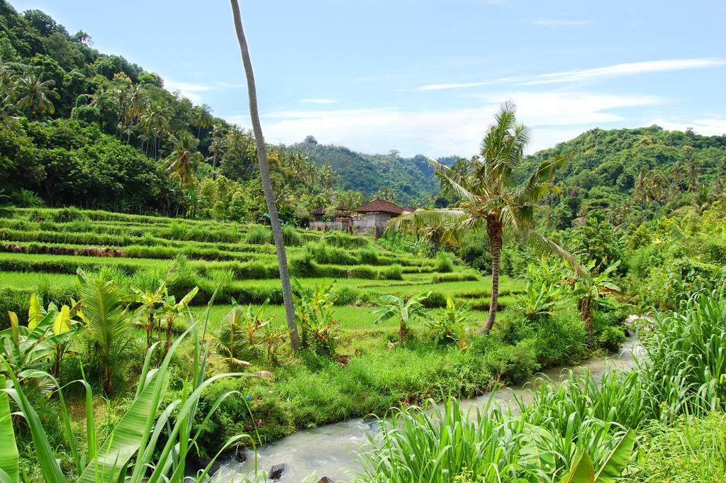 Indo Rumah Zengarden Pabean Buleleng Εξωτερικό φωτογραφία