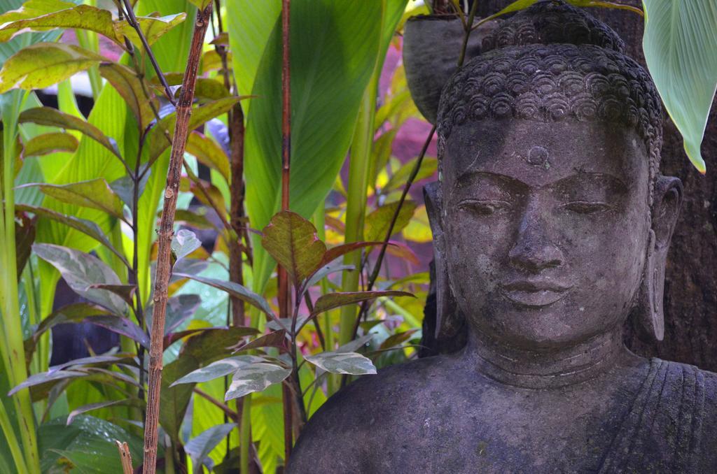 Indo Rumah Zengarden Pabean Buleleng Εξωτερικό φωτογραφία