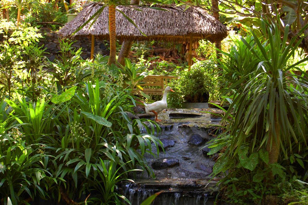 Indo Rumah Zengarden Pabean Buleleng Εξωτερικό φωτογραφία