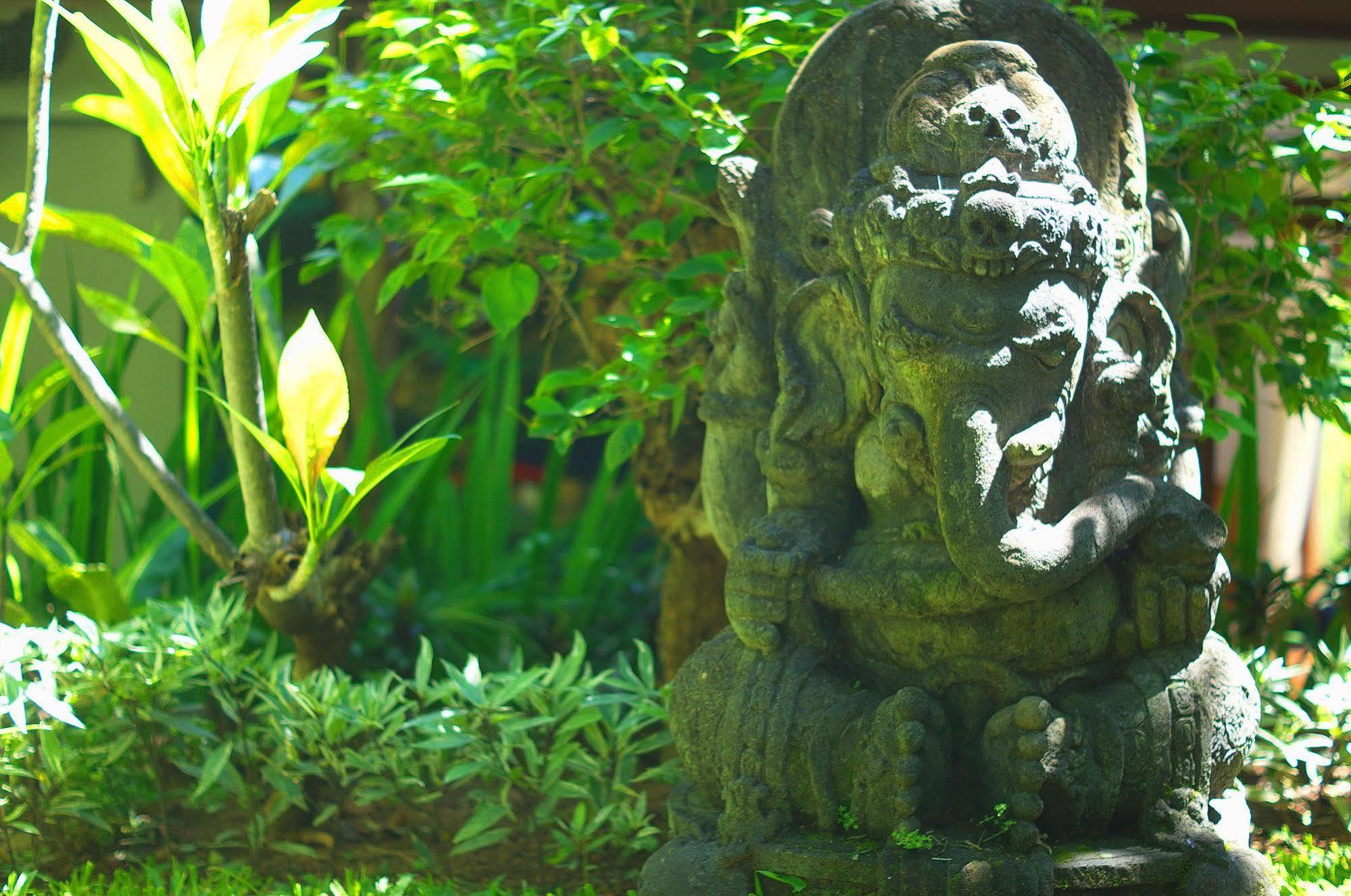 Indo Rumah Zengarden Pabean Buleleng Εξωτερικό φωτογραφία
